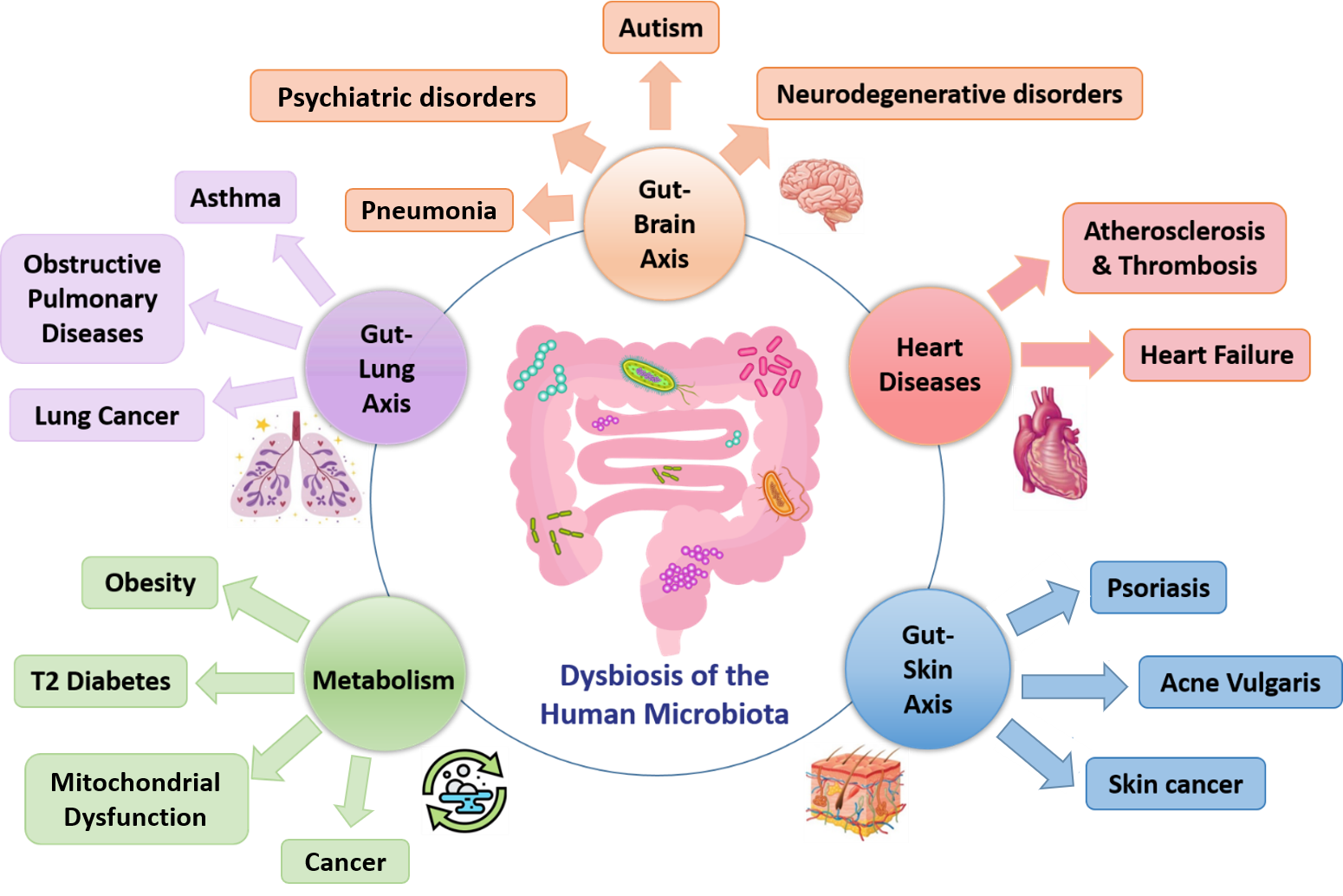 Targeting Microbiota Dysbiosis: A Huge Challenge