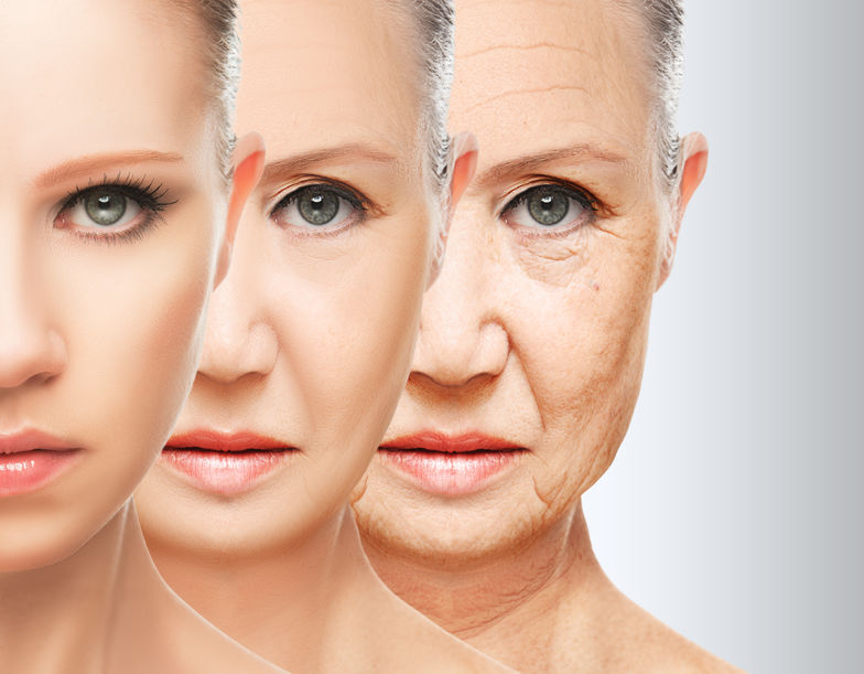 Skin Ageing