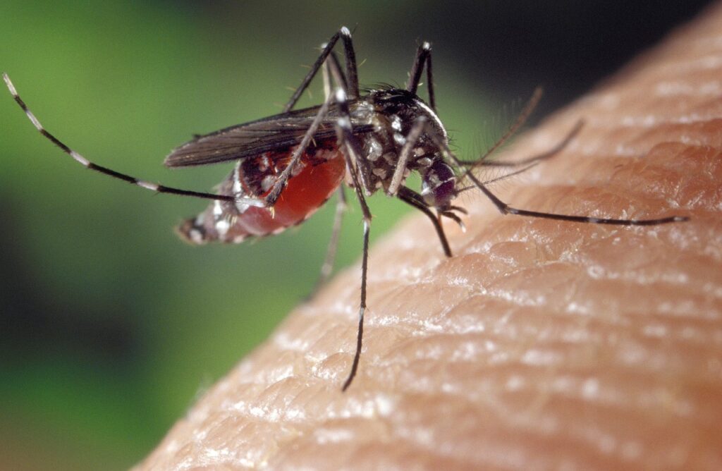 Human Skin Microbiome Odorants: Influence on Mosquito Landing Behavior"